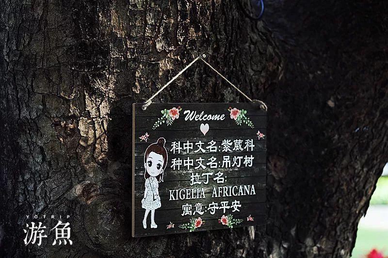 美式橄榄球大赛